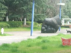 -中央公园(苏州工业园区)
