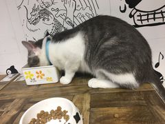 -小时光咖啡馆(开森度假森林店)