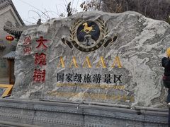 -大槐树寻根祭祖园