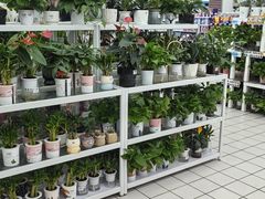 -大润发(明珠店)