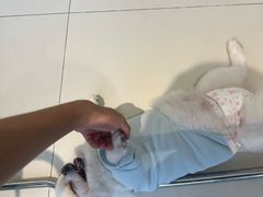 -怪兽屋·羊驼·猫咖·狗咖(俊华广场店)