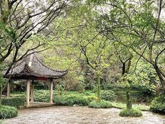 -解香楼(八盘岭路店)