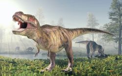 -恐龙探索乐园(磁器口店)