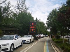 -青城甲(青城山店)