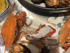 -半岛听涛蒸汽海鲜自助(K11店)