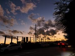 -长虫山生态公园风景林