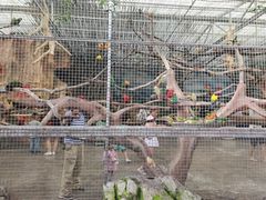 -昆明动物园