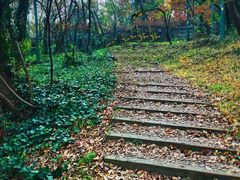 -虞山风景区