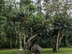 -中国科学院西双版纳热带植物园
