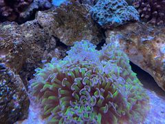 -鹿儿岛水族馆