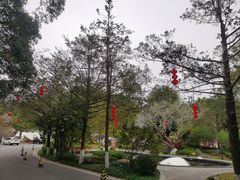 -广东温泉宾馆