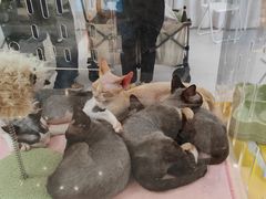 -万达广场(北京槐房店)