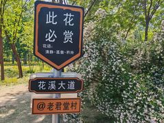 -老君堂公园