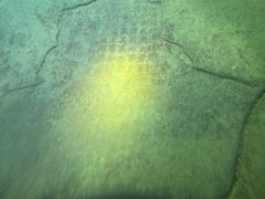 -白鹤梁水下博物馆
