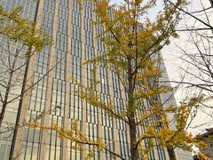 -北京索菲特大酒店
