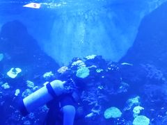 -华夏文旅海洋公园