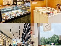 -三里屯东五街银杏大道