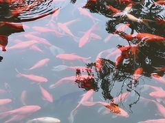 -红石寨旅游度假区