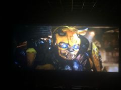 -华美国际影城(旧宫永辉店)