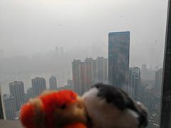 -解放碑威斯汀酒店-知味国际美食餐厅