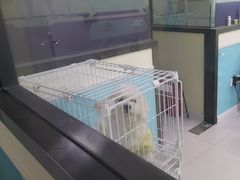 -天宠宠物医院24小时·急重症诊疗中心·全科·腔镜特色(和平分院)