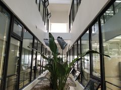 -上海市徐汇区口腔医院