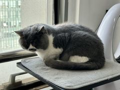 -不作·手工银饰DIY(西红门店)