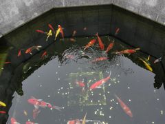 -西安市广仁寺