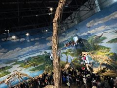 -自贡恐龙博物馆