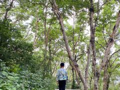 -白草畔自然风景区