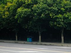 -两河城市森林公园