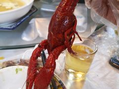 -呼吸森林·生态农庄农家乐私房菜