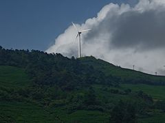 -东白山