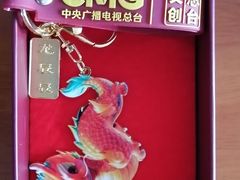 -中央广播电视总台(光华路办公区)