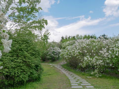 -群力丁香公园