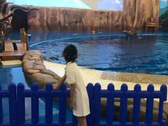 -华夏文旅海洋公园