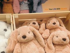 -TOYSRUS玩具反斗城(合肥华润万象城店)