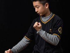 -温鉴良实用咏春拳