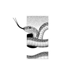 点击看大图 -龙之吻专业刺青·手工耳洞·纹身去色