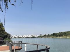 -羊山湖公园