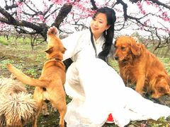 -樂桃源奉贤黄桃种植采摘基地