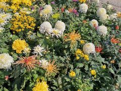 -宜昌富力皇冠假日酒店·咖啡1号西餐厅