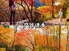 -上海山野camping·户外天幕烧烤·团建拓展营地