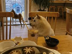 -柴の食堂·日式家庭料理·熊之肆(大学路店)