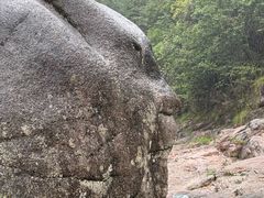 -鄣山大峡谷