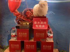 -虾满堂(瑞虹店)