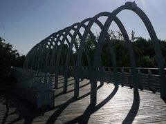 -大兴滨河森林公园