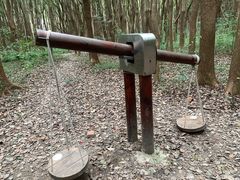 -同里国家湿地公园