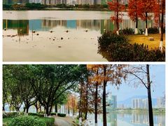 -飞来湖湿地公园