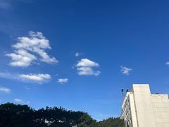 -丁家坡洋芋·观音桥好吃街A区(全国总店)